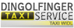 Logo Dingolfinger Taxiservice
